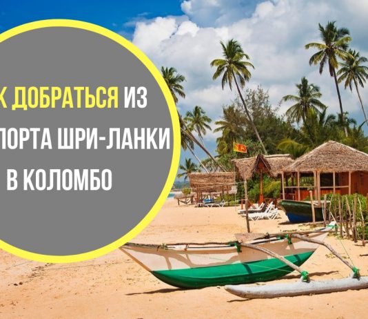 ТОП 3 способа добраться из аэропорта Шри-Ланки в Коломбо Как добраться из аэропорта Шри-Ланки в центр Коломбо